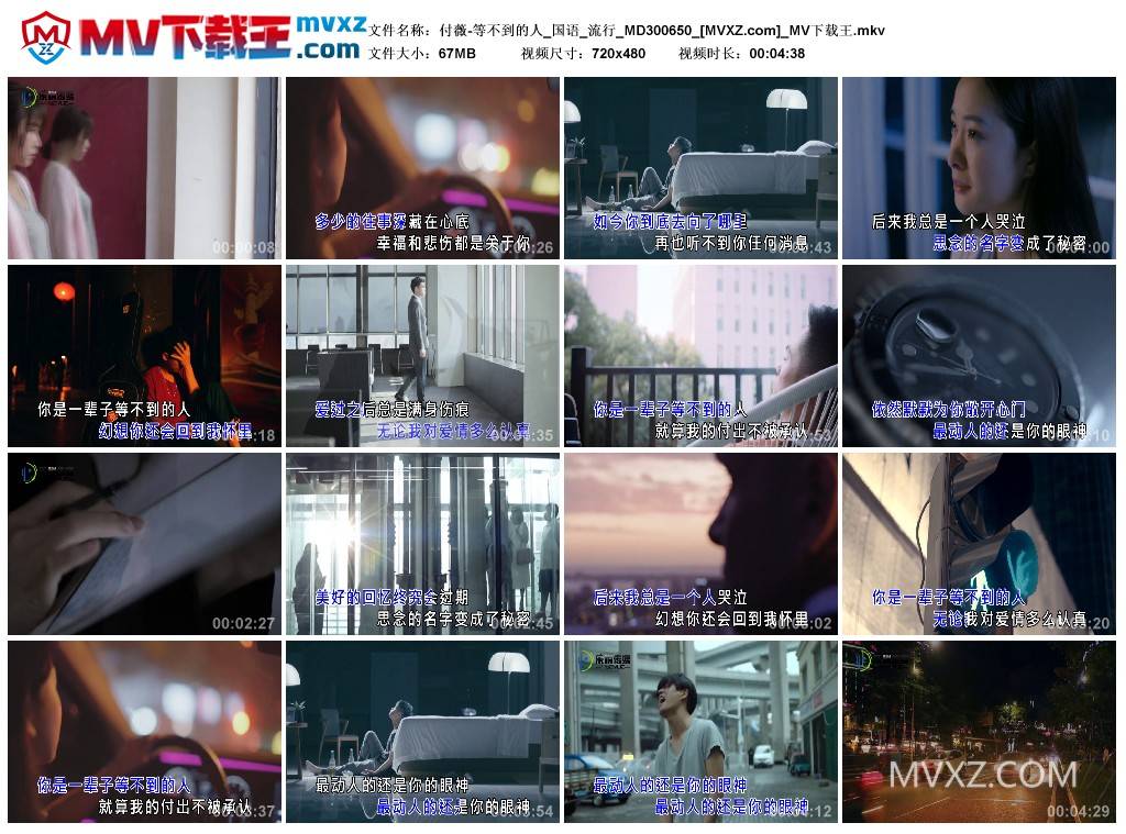 付薇-等不到的人_国语_流行_MD300650